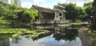 places to visit in summer in shenzhen Shenzhen International Garden and Flower Expo Park